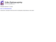 Tablet Screenshot of fellerp.t-online.hu